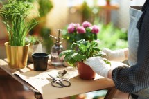 Green Thumb? Enhance Your Skills with Hands-On Sustainable Gardening Workshops